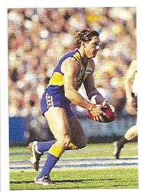 1991 Select AFL Stickers #243 Dwayne Lamb Front